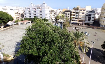 "Cañaveral Medano". 2