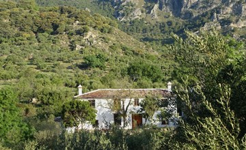 Gemütliches Landhaus Betania in Grazalema 2