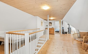 "Urte" - uit de zee in West-Jutland 3