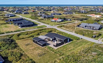 "Dodo" - 500m from the sea in NW Jutland 3