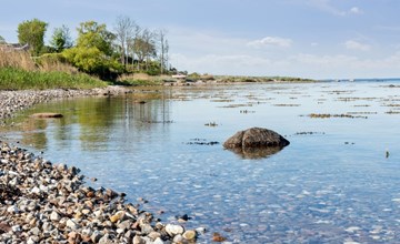 "Titta" - 10m to the fjord 3