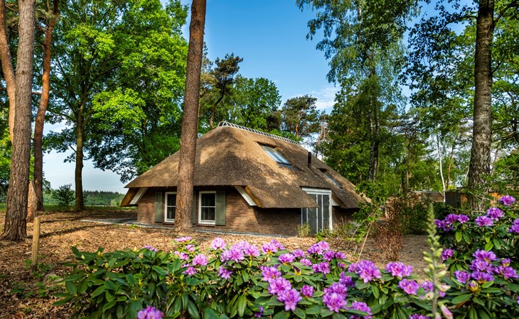 Sprielderbosch 20 Ferienpark mit luxuriösen Ferienunterkünften auf den Veluwen 1