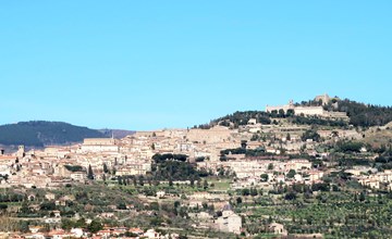 Villa 'Severina' mit privatem Pool 2