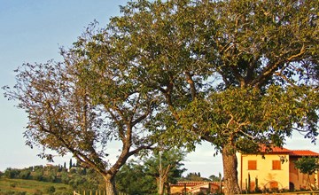 Le Palaie - 'Landhuis' (PEC209) 2