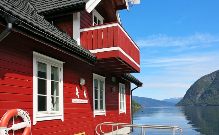 Fagerdalsnipi (FJS609) 1