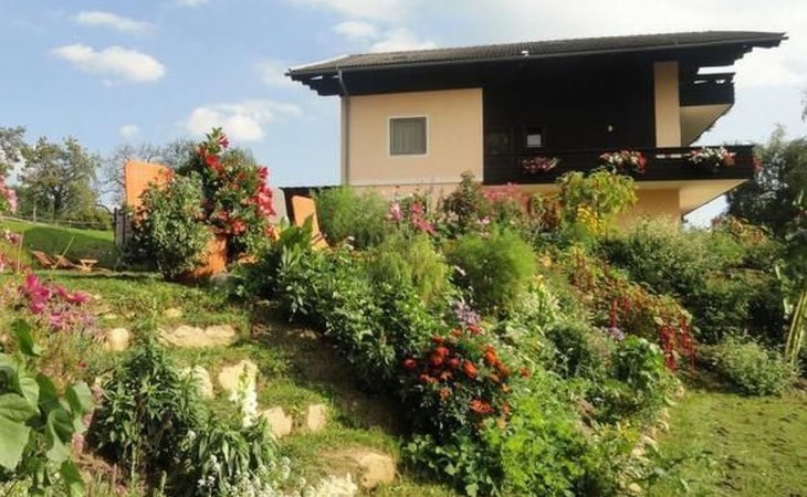 Aconitum in Millstatt 1