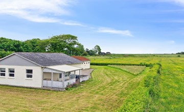 "Janin" - 400m from the sea 3