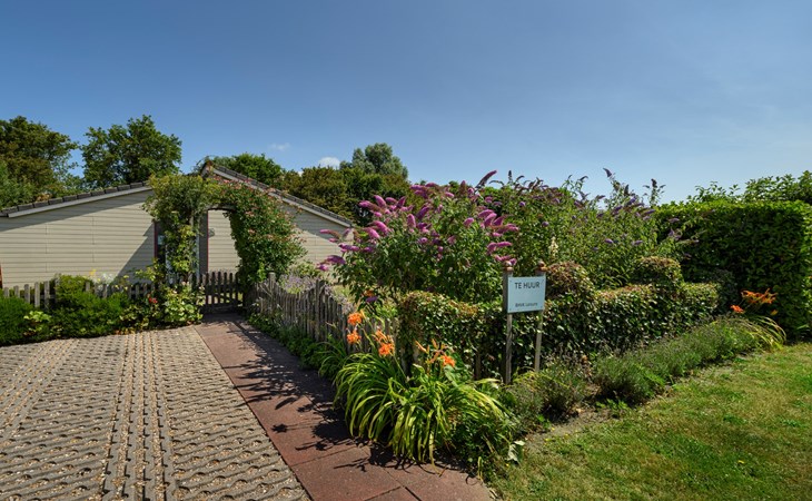 Beachpark 67 chalet op vakantiepark direct aan Noordzeestrand 1
