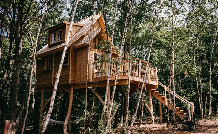Tree House 2 1
