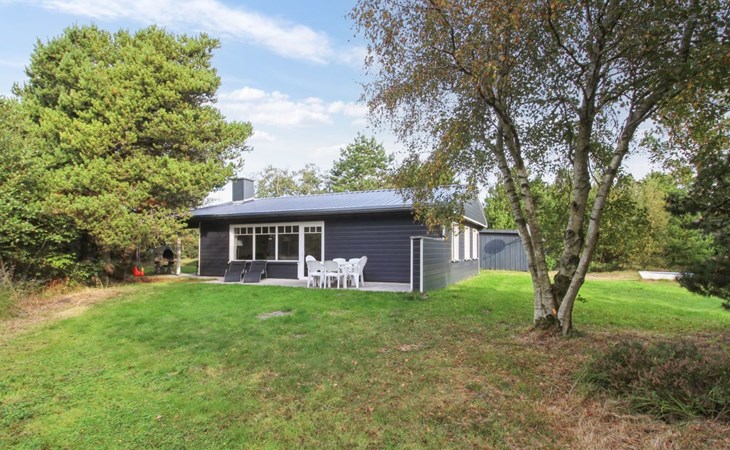 "Heidie" - 3,0 km van de zee in West-Jutland 1