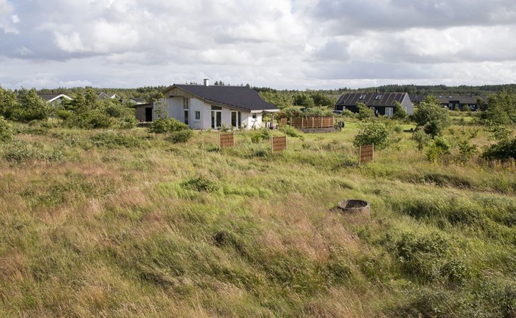 „Ullvi“ – 3,8 km vom Meer entfernt in Nordwestjütland 1