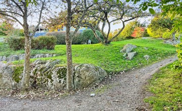 „Jolanda“ – 800 m vom Meer entfernt in Bornholm 3