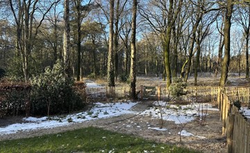 Natur-Lodge Öko für 4 Personen mit Hottub und Sauna 3