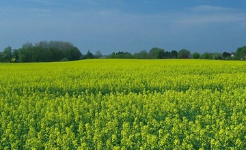 Ländliche Ferienwohnung in beliebtem Gästehaus 3