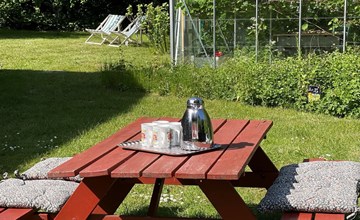 „Elvin“ – 2,7 km vom Meer entfernt auf Fünen 2