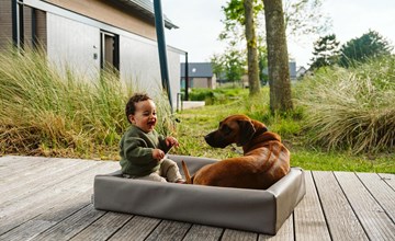 Vakantiehuis 10 persoons comfort 3