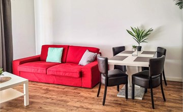 Pet friendly apartment 3