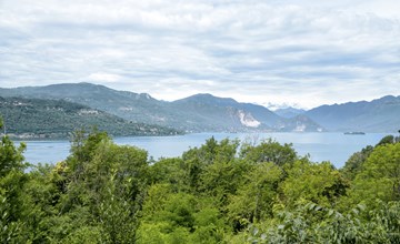 House in the Woods 3