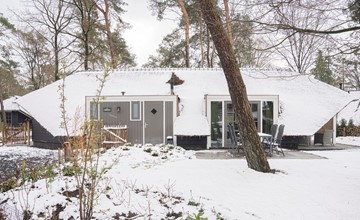 Sprielderbosch 6 Luxus Urlaubshaus in waldreicher Umgebung Garderen 2