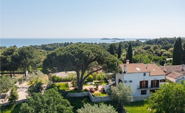 Casa Bizzarra 2