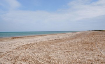 "Gunnie" - 1,1 km van de zee in Noordwest-Jutland 3