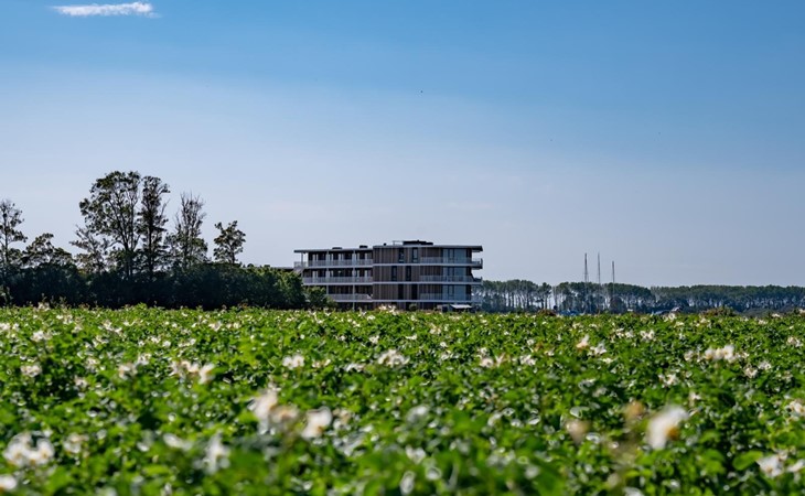 Lamsoor 73 | Veerse Wende 1