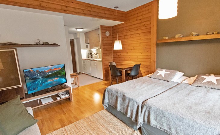 Ylläs chalets 3309, winter 2023-24 2 ski's 1