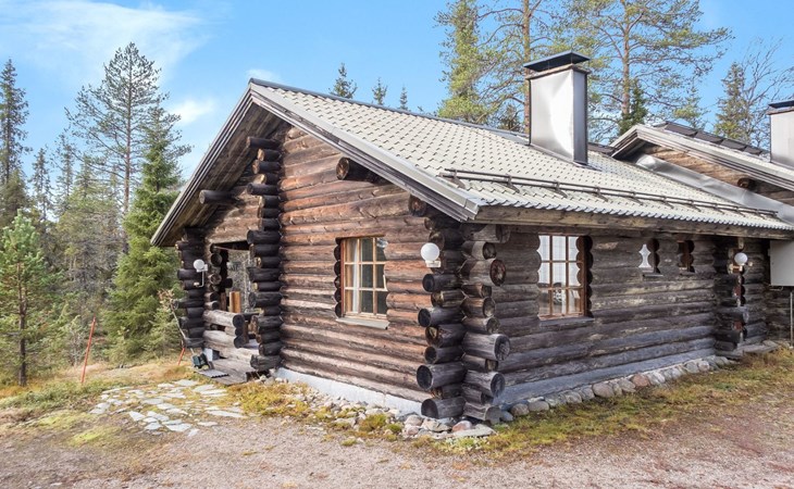 De maan van Vuossel 1