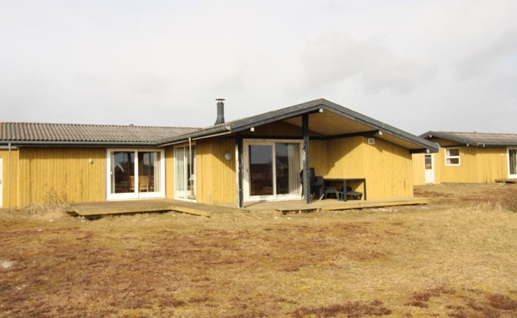 "Alka" -  from the sea in Western Jutland 1