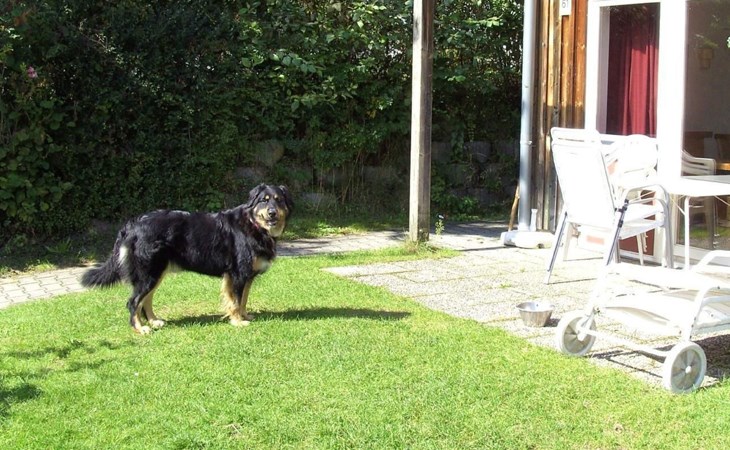 in Zandt mit Garten, Terrasse und Grill 1