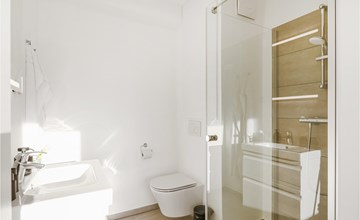 Pet friendly apartment 3