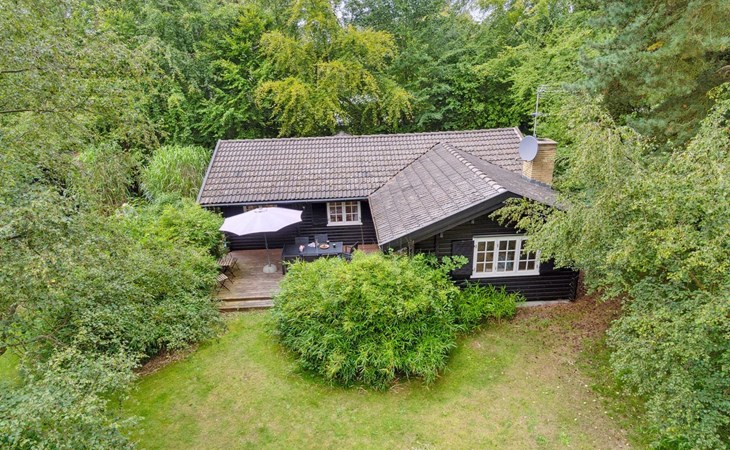 "Neela" - 300m from the sea in Lolland, Falster and Mon 1