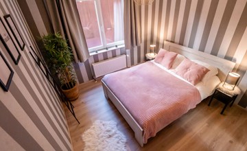 Amuzee with parking 3