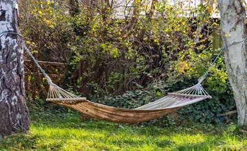 "Edgar" - 300m from the sea 2