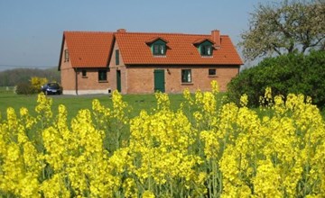 Kranich in Ummanz-Lüßvitz 3