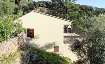 Asphodels (NLO102) 2