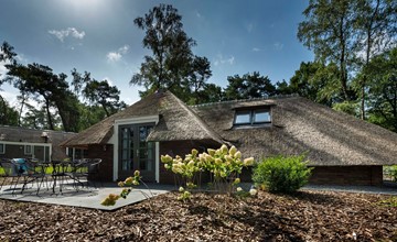 Sprielderbosch 21 luxury holiday villa in forest near Putten 2