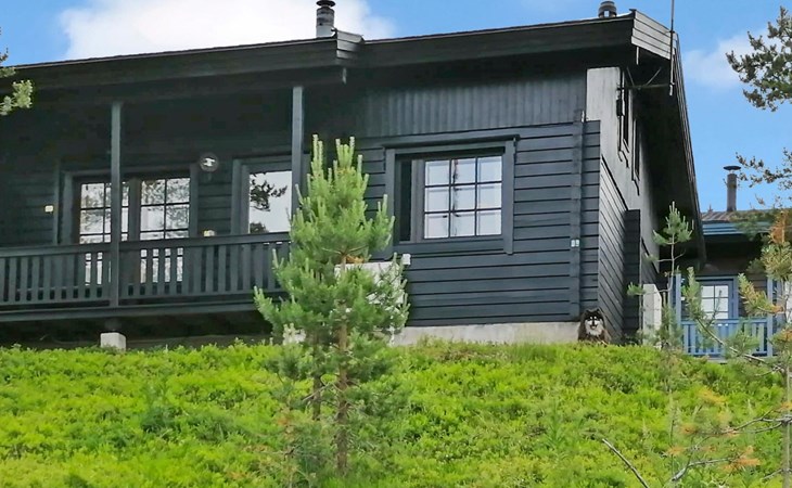 Gezellig chalet in Ruka 1