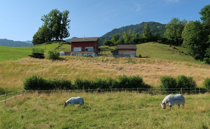 Luxenweid 1