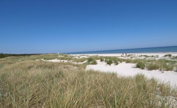 "Amaru" - 500m from the sea 2