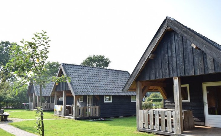 Houtlodge | 18 Personen 1