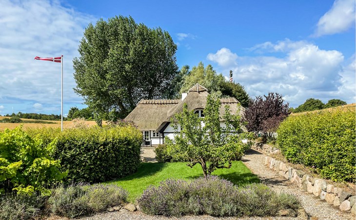 Pet friendly home in Humble with WiFi 1