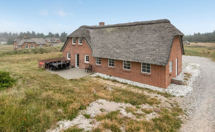 "Matrona" - 750m from the sea in Western Jutland 1