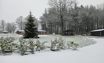 Natur Lodge mit Panorama Sauna | 6 Pers. 2