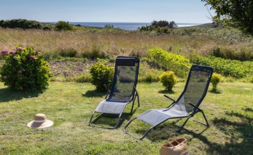 Hortensien (PGF100) 2