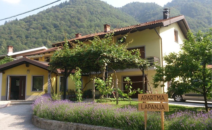 Wohnung Lapanja 2 mit Gemeinschaftsgarten 1