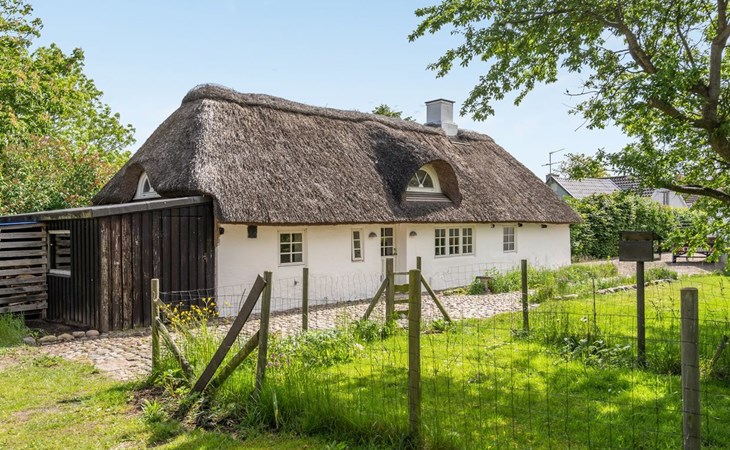 "Faik" - 650m from the sea in NE Jutland 1