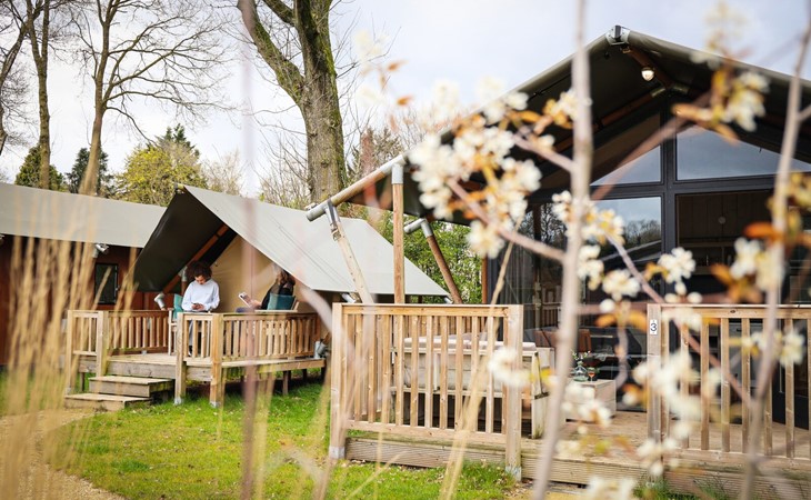 2 - 4-persoons Tiny Safari House 1