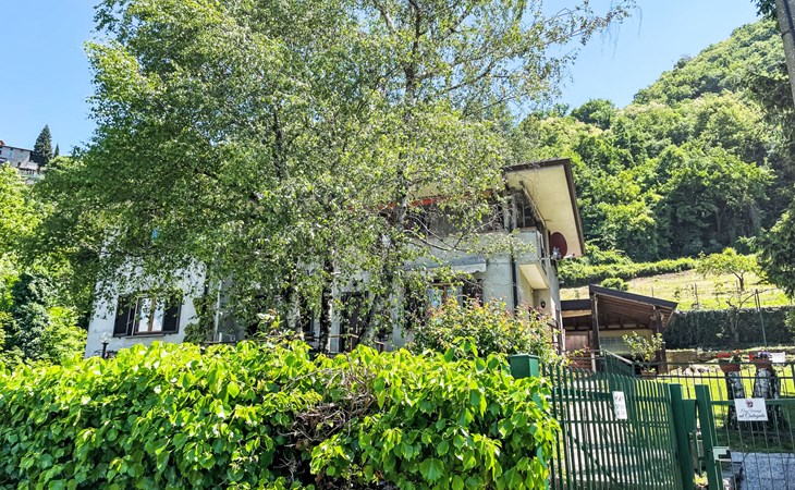 In the chestnut grove 1