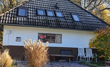 Waldhaus57 Silbersee 2